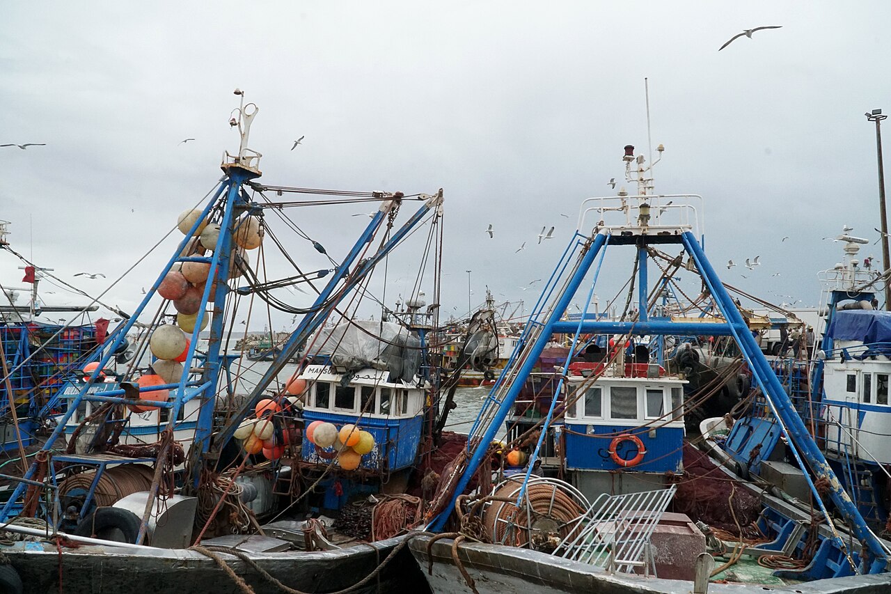 Blauwe vissersboten in de haven van Essaouira